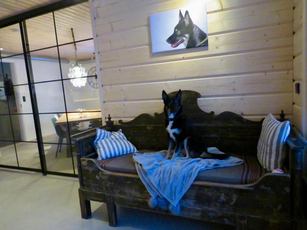 B&B Adventures Äkäslompolo 외부 사진